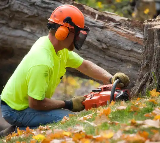 tree services Adrian